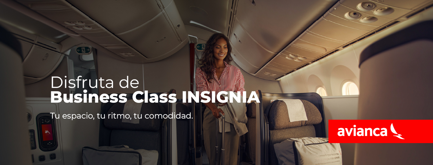 SLIDE_Business Class Insignia